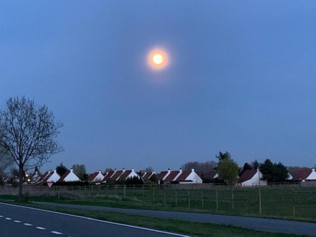 דה פאן Duinendaele 232 Met Sauna Bij Plopsaland En Natuurreservaat מראה חיצוני תמונה