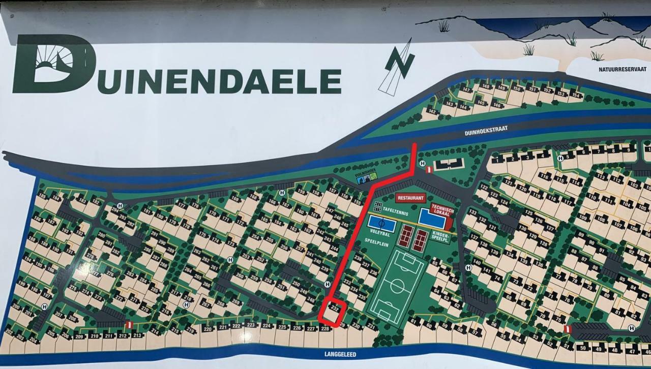 דה פאן Duinendaele 232 Met Sauna Bij Plopsaland En Natuurreservaat מראה חיצוני תמונה